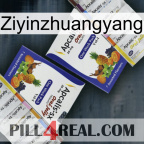 Ziyinzhuangyang 12